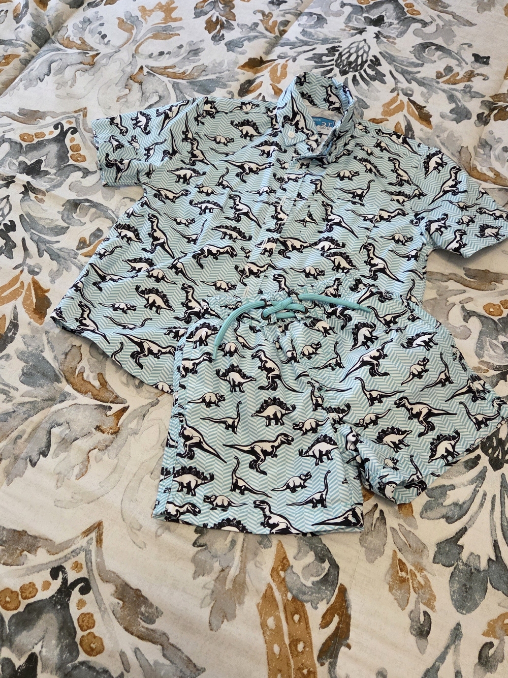 Beach Bros Mint Green Dino Short Sleeve Swim Set